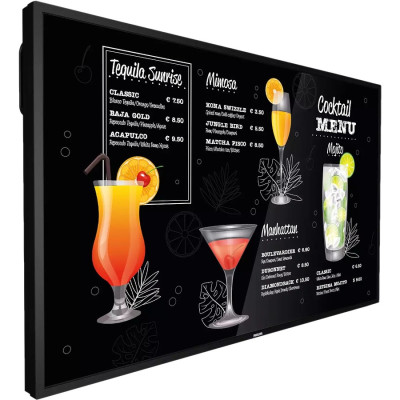 Philips 43BDL3117P/00 Digital Signage Display