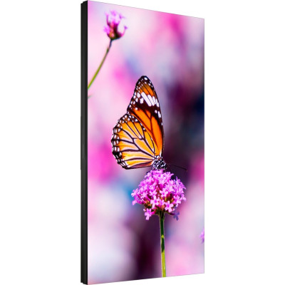 NEC UN552VS-TMX4P Digital Signage Display