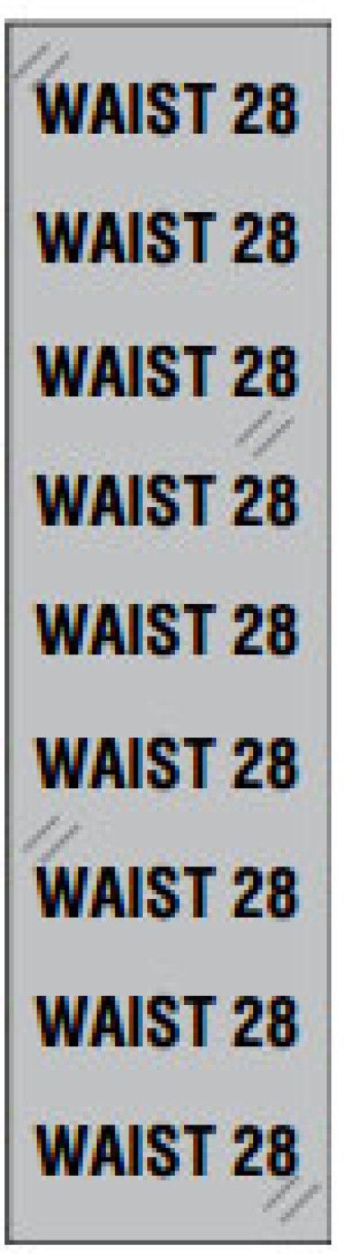 BCI WS24 Labels