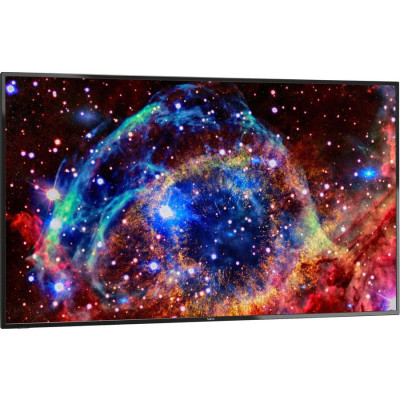 NEC E557Q Monitor