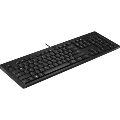HP 266C9AA Accessory