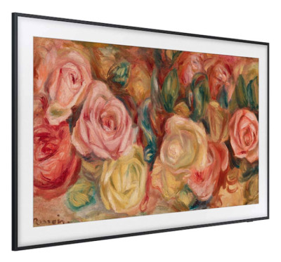 Samsung QN43LS03DAFXZA TVs & Home Theater Equipment