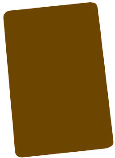 Brady 1350-2050 Plastic ID Card