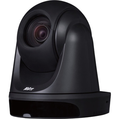 AVer PAVPTDL30 Webcam