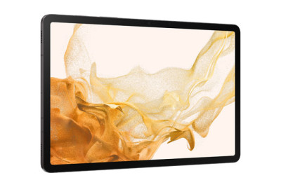 Samsung SM-X700NZAAXAR Tablet