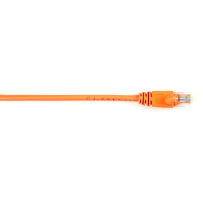 Black Box CAT6PC-003-OR-5PAK Products