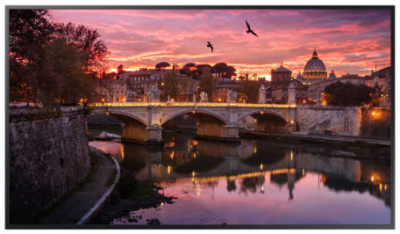 Samsung QB24R-B Digital Signage Display