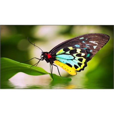 NEC UN552 Digital Signage Display