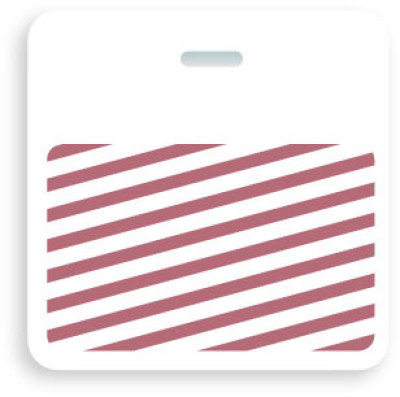 Brady 6023 Access Control Cards