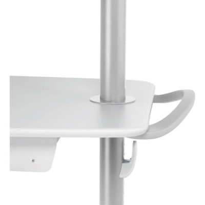Ergotron ZHCG Carrying and Protective Accessories