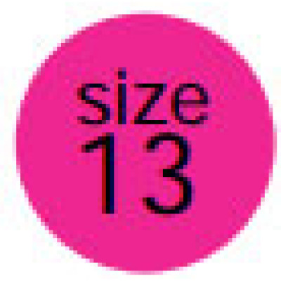 BCI SSD-FPI13 Labels