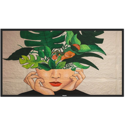 Philips 55BDL4550D-SK03 Customer Display