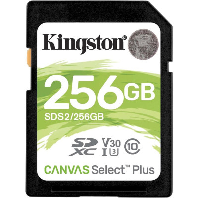 Kingston SDS2/256GB Accessory
