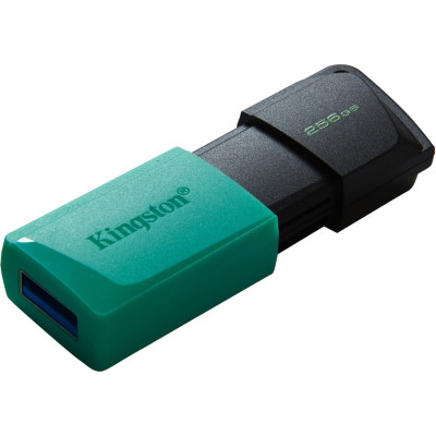 Kingston DTXM/256GB Accessory