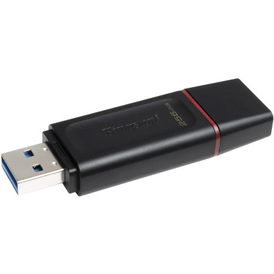 Kingston DTX/256GB Accessory