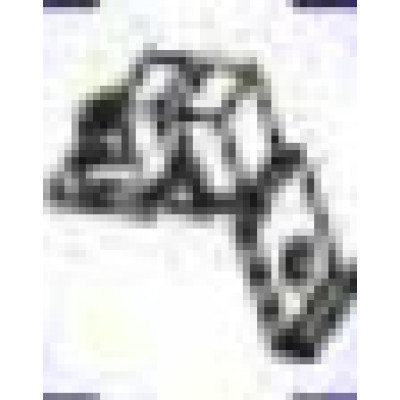 Zebra P1083320-053 Accessory