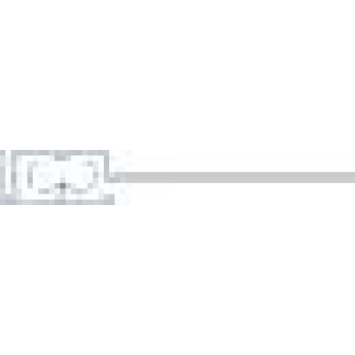 SMARTRAC 3002335 RFID Inlay