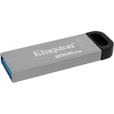 Kingston DTKN/256GB Accessory