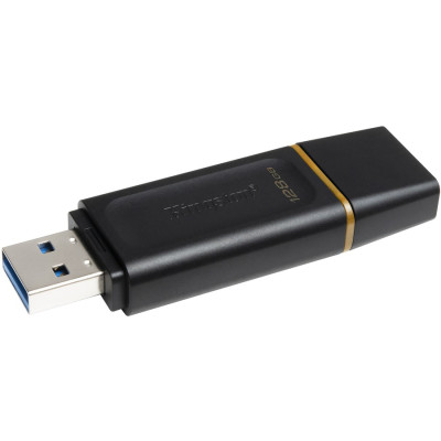 Kingston DTX/128GB Accessory