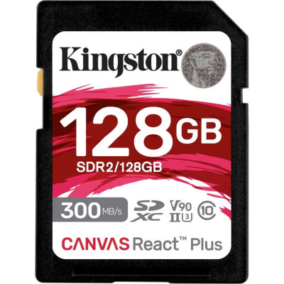 Kingston SDR2/128GB Accessory