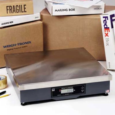 Brecknell 9503-16279 Scale