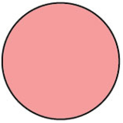 Circle 1415PI Shipping Labels