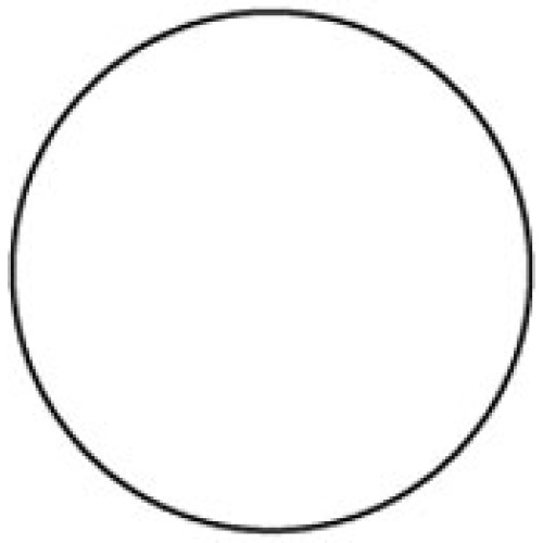 Circle 1413WH Shipping Labels