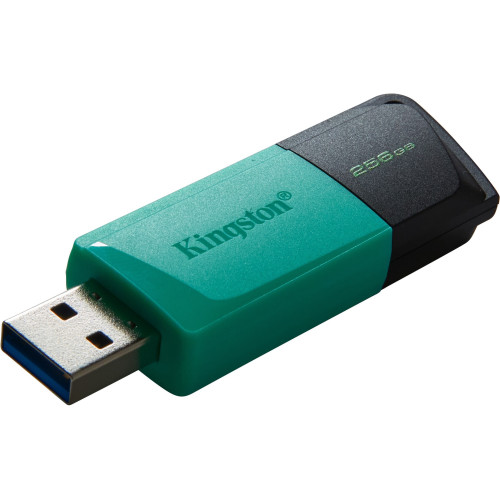 Kingston DTXM/256GB Accessory