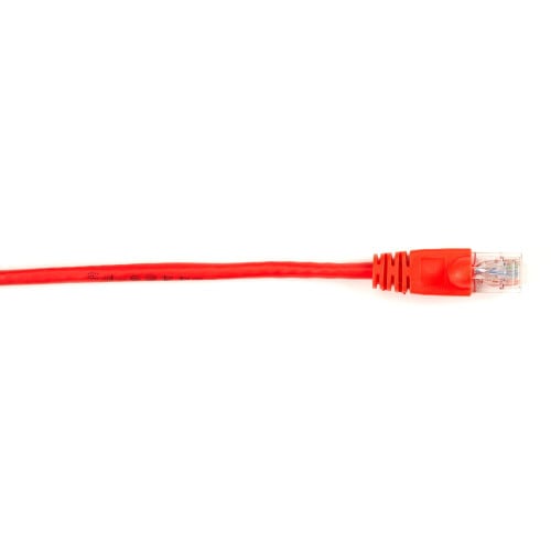 Black Box CAT6PC-010-RD-5PAK Products