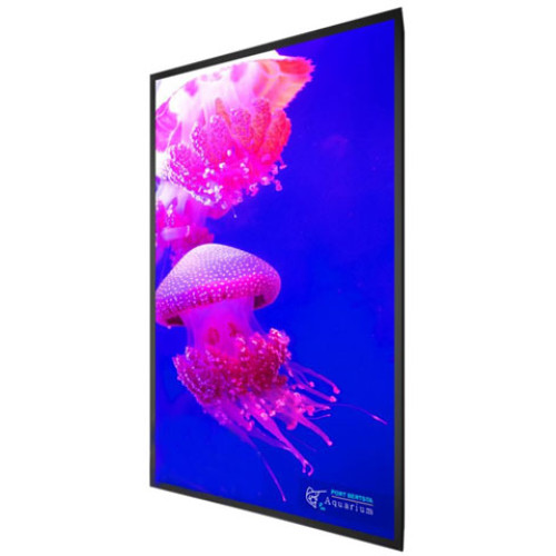 Planar 998-2161-00 Digital Signage Display