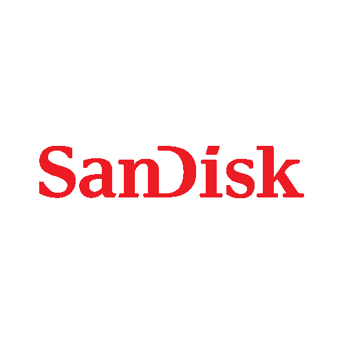 SanDisk WDS100T1R0A-68A4W0 Drive