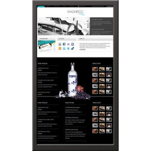 Display Werks 3250-TU-320MP2-4D Products