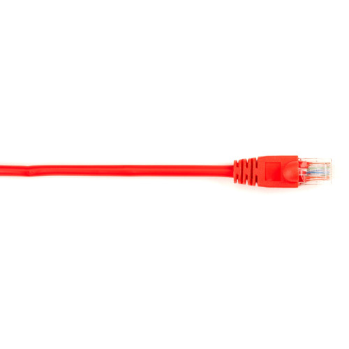 Black Box CAT5EPC-005-RD-25PAK Products