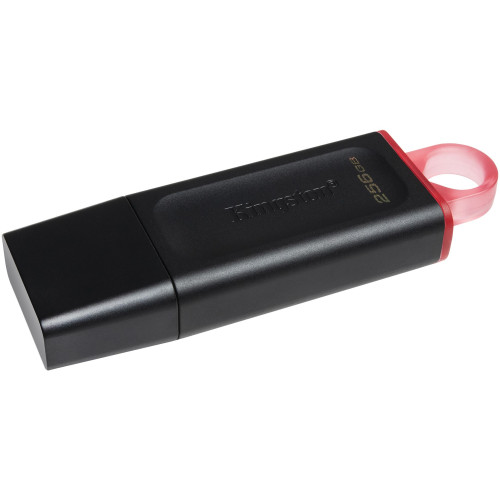 Kingston DTX/256GB Accessory