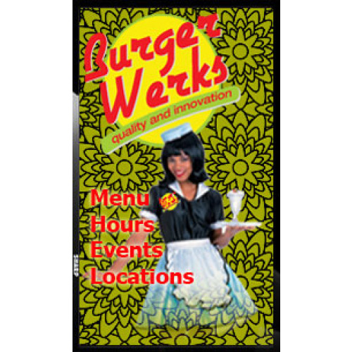 Display Werks 5250-SC-PNE521-6ESD/NG Products