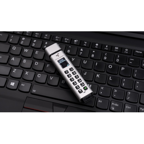 DataLocker SK350-256-FE Drive