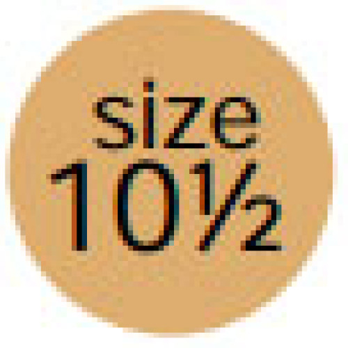 BCI SSD-PE10H Labels