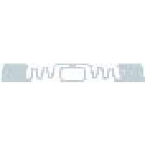 SMARTRAC 3002042 RFID Inlay
