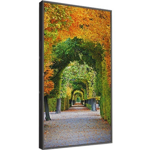 NEC X554HB Products