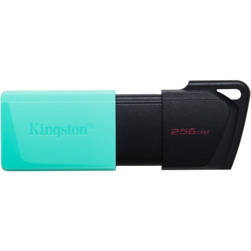 Kingston DTXM/256GB Accessory