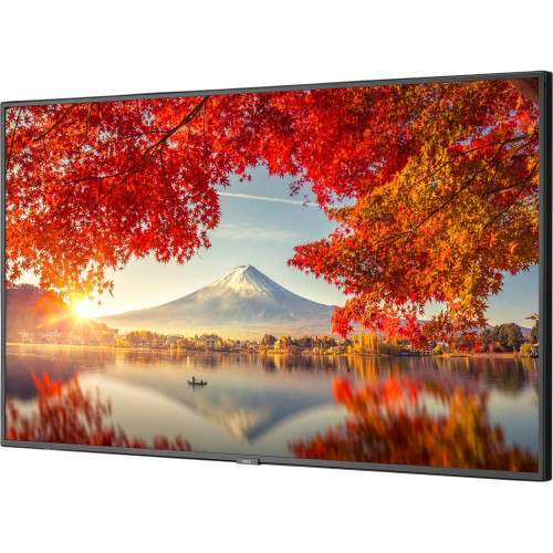 NEC MA551-PC5 Monitor