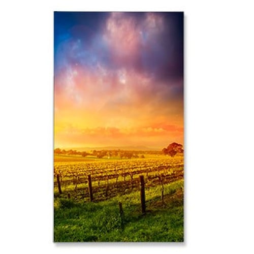 NEC X555UNV Digital Signage Display