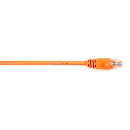 Black Box CAT5EPC-004-OR-25PAK Products