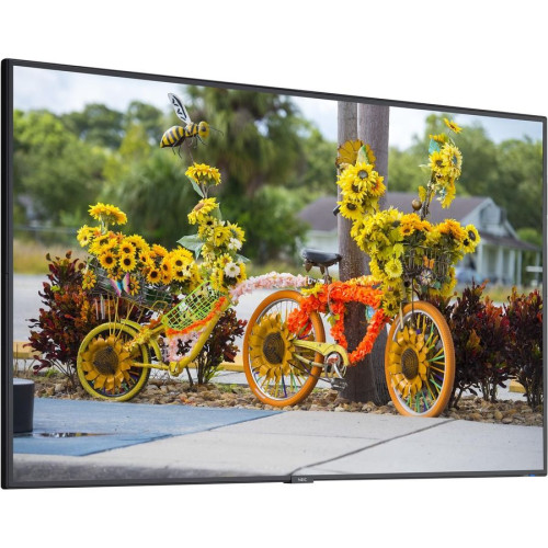 NEC C551 Monitor