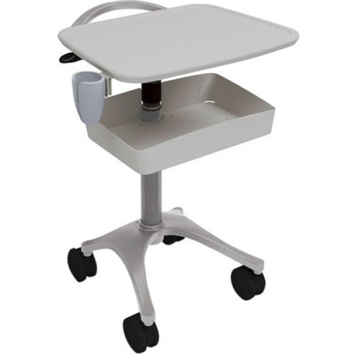 Ergotron BZD02CG/CG4 Mobile Cart