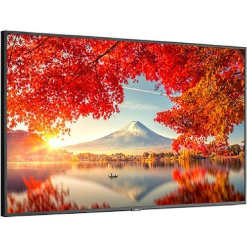 NEC MA551-PC5 Monitor