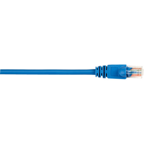 Black Box CAT5EPC-003-BL Products