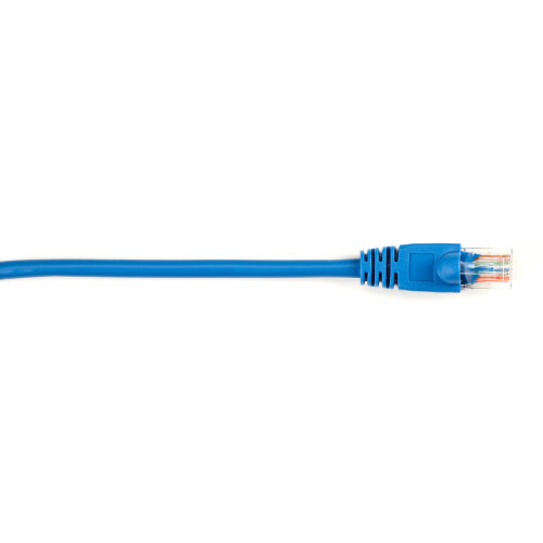 Black Box CAT5EPC-006-BL-25PAK Products