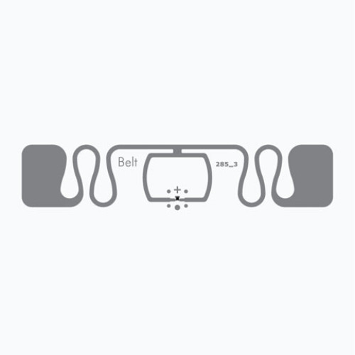 Avery-Dennison AD Belt M750 RFID Tag